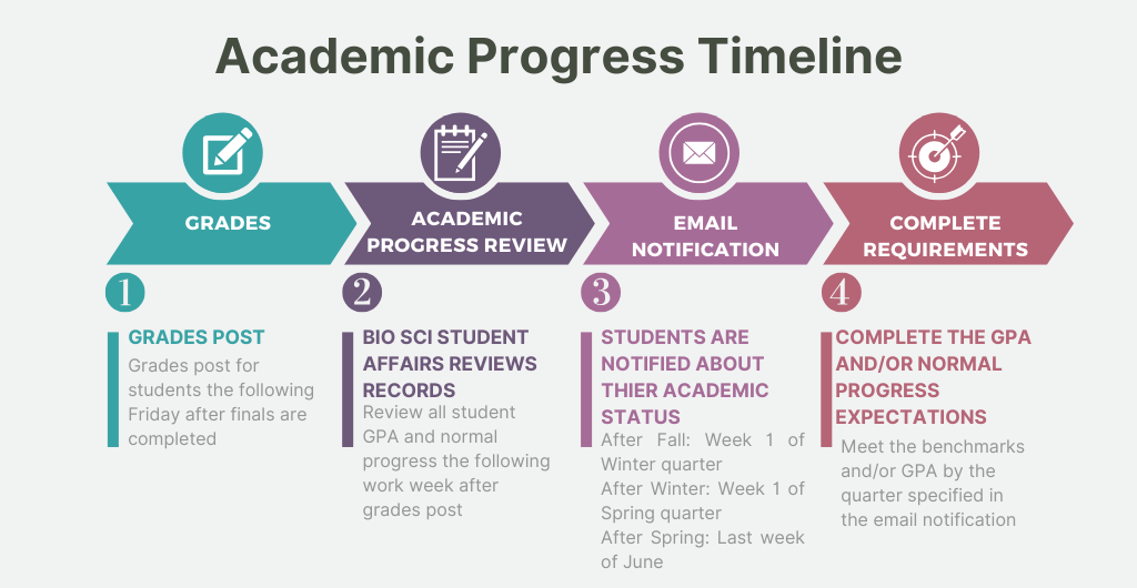 Academic Progress Timeline